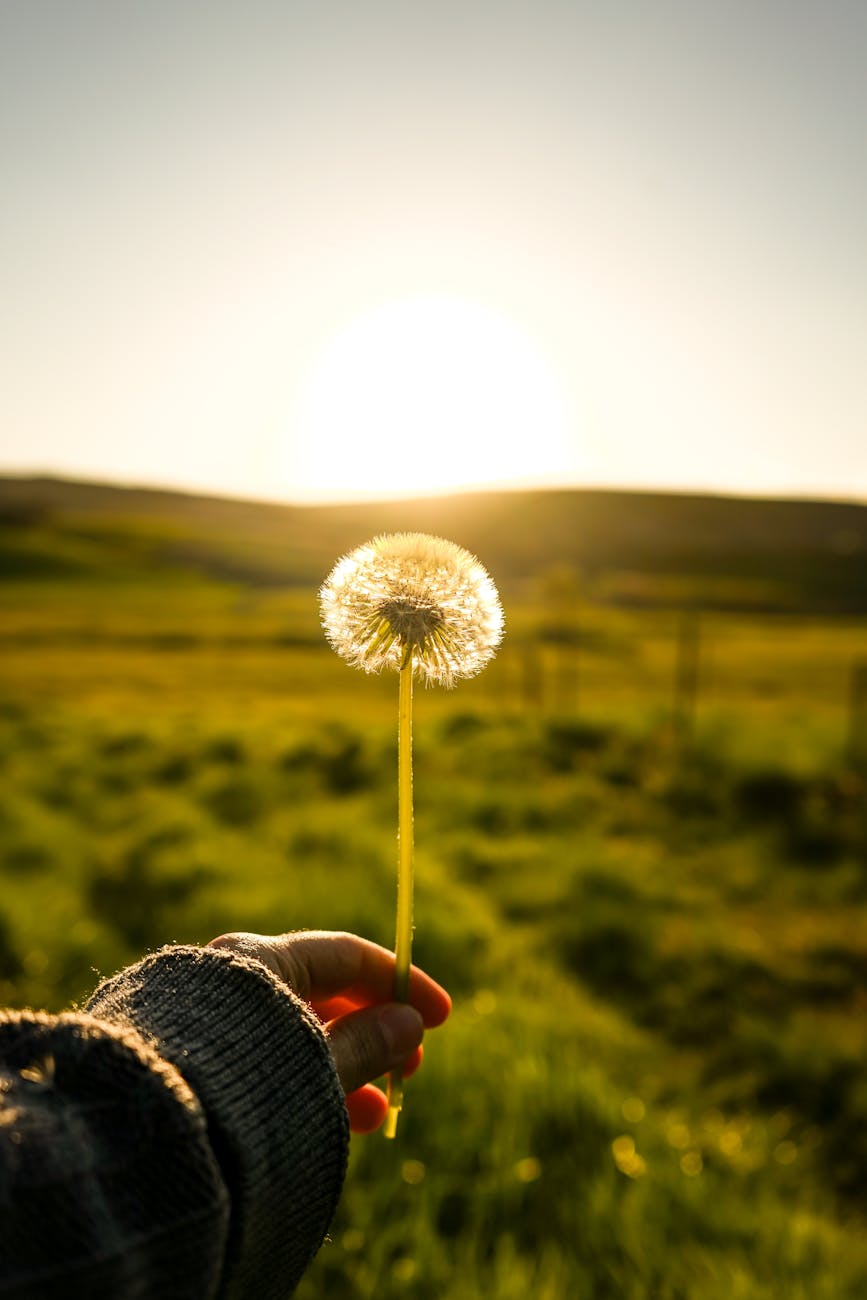 You Are What You&nbsp;Eat