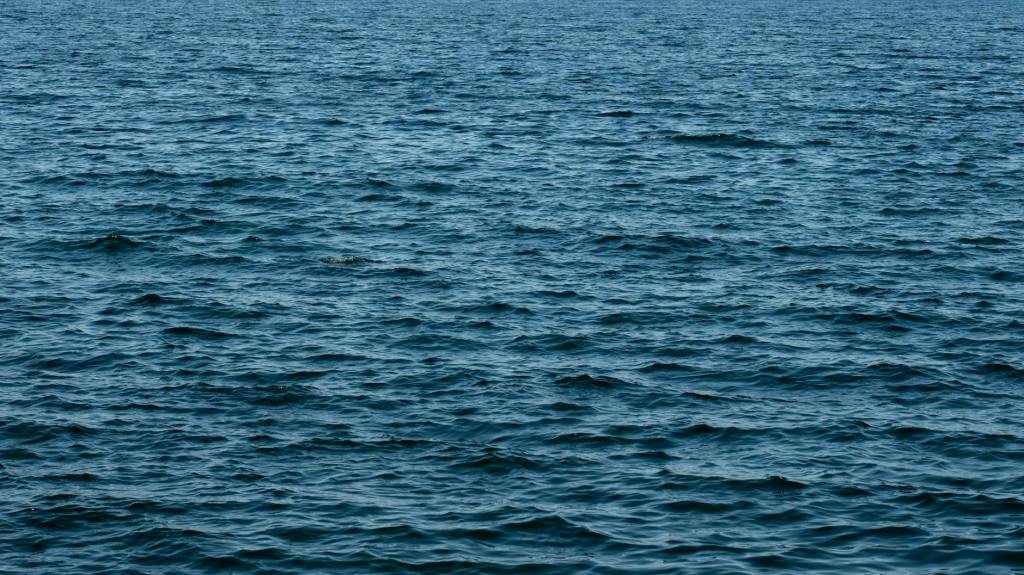 Looking back leads you&nbsp;ahead